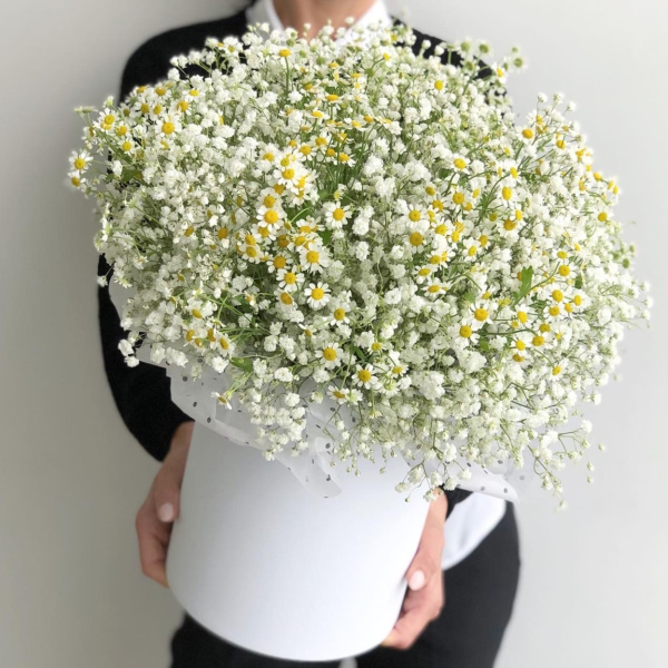 КОРОБКА С РОМАШКАМИ И ГИПСОФИЛОЙ